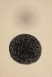 Untitled (Origin Series)