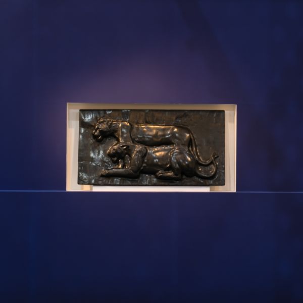 India Art Fair 