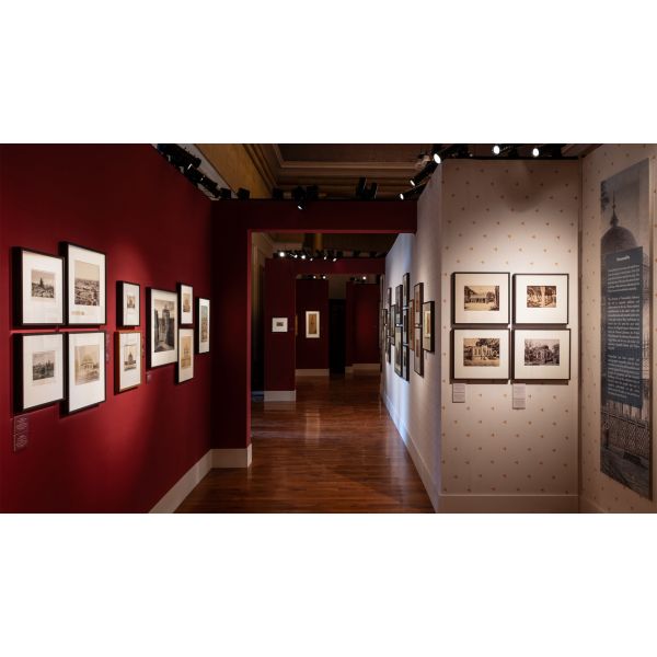 Art Exhibitions