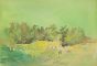 Untitled (Landscape)
