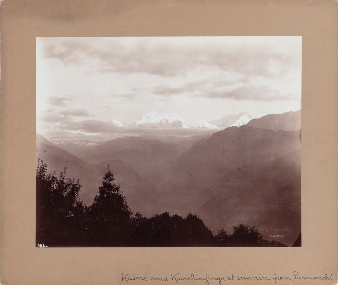 Kabru and Kanchinjinga [Kangchenjunga] at Sunrise from Pamionchi [Sikkim] 