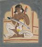 Esraj Player