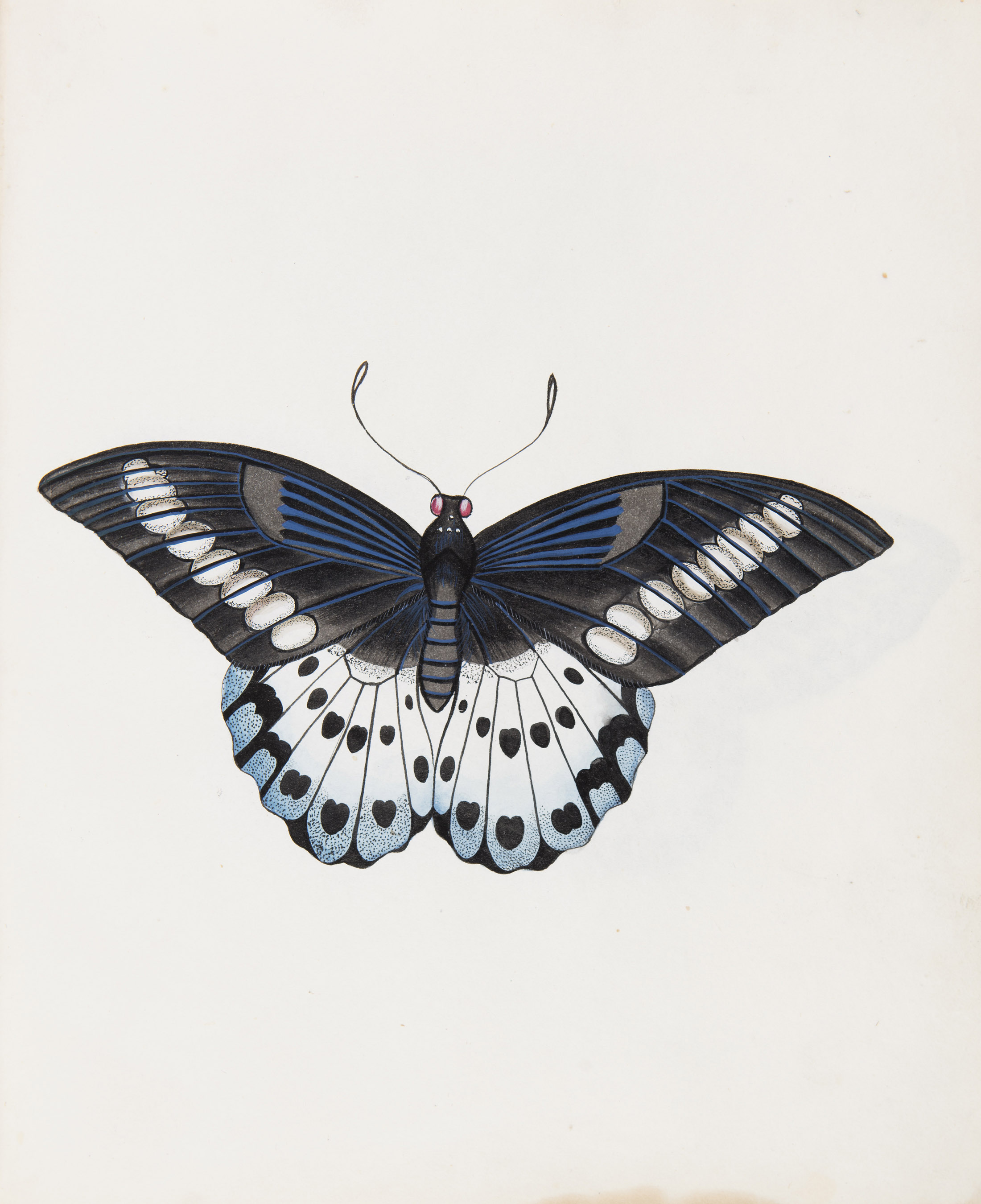 Unidentified Artist (Company School) - DAG World