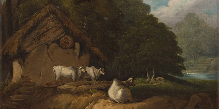 The Indian Picturesque